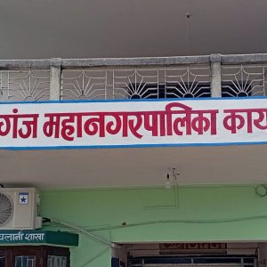 बेवारिसे सवारीसाधन हटाउँदै वीरगञ्ज महानगर
