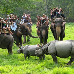 चितवन निकुञ्ज सुरक्षाका लागि ‘स्पाई क्यामेरा’ जडान