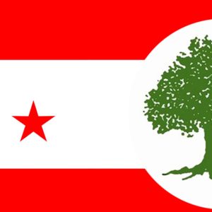 कांग्रेस केन्द्रीय कार्यसमिति बैठक असार १५ मा बस्ने