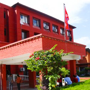 डेङ्गी सङ्क्रमणको जोखिम बढ्ने, सतर्कता अपनाउन आग्रह