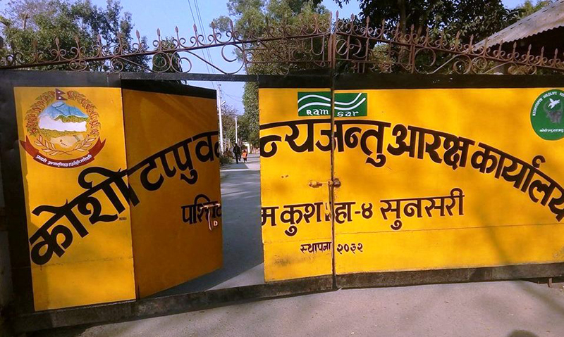 कोसी टप्पुमा पर्यटकको सङ्ख्या वृद्धि