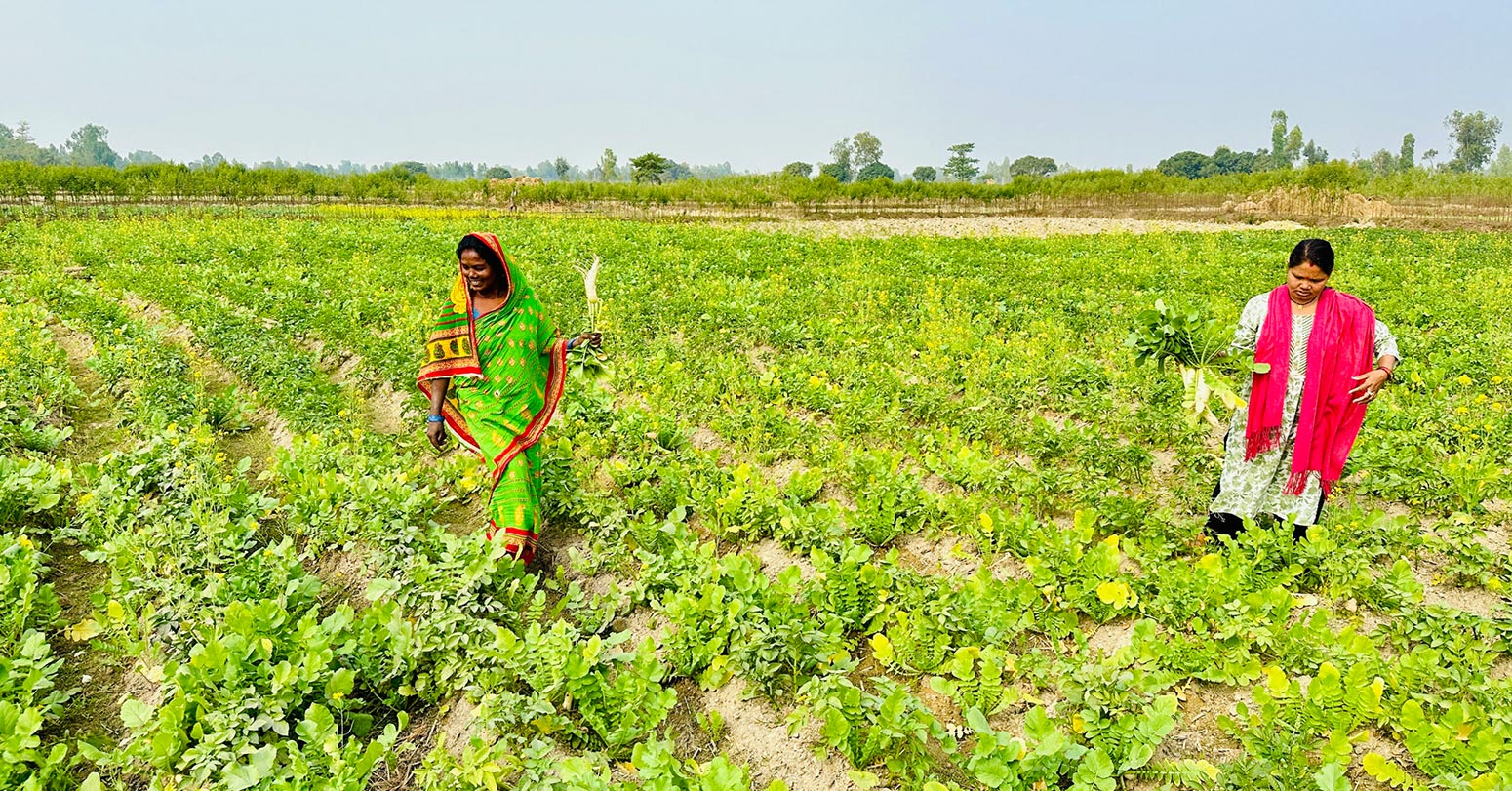 आर्थिक सर्वेक्षणः कृषि अनुदानमा रु ११ अर्ब ७६ करोड खर्च