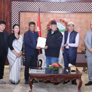 नागरिक आयोग बनाउन बाध्य नपार्नुस्: द्वन्द्वपीडित