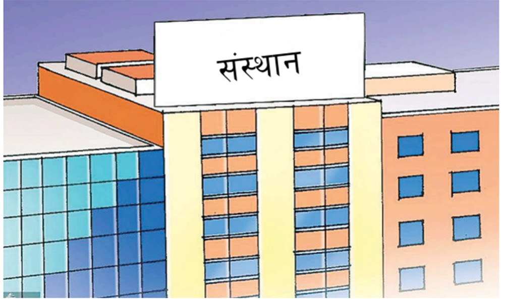 सार्वजनिक संस्थानः २८ नाफामा, १५ घाटामा, दुई बन्द