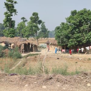 चौबीस वर्षदेखि न्यायको पखाईमा शुक्लाफाँटा आरक्ष विस्थापित