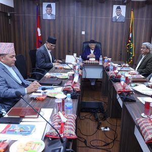 भारत–पाकिस्तानबीच विकसित घट्नाक्रमबारे सुरक्षा परिषद् बैठकमा समीक्षा