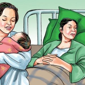 पाल्पामा संस्थागत सुत्केरी बढाउने अभियान