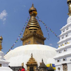 बुद्धको अस्तुधातु दर्शनका लागि राखियो