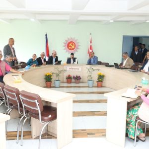 गणतन्त्र दिवसलाई उत्सवको रूपमा मनाउने एमाले सचिवालय बैठकको निर्णय