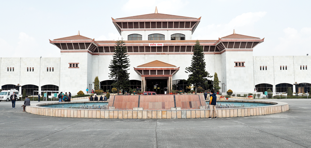 प्रतिनिधिसभा बैठक आकस्मिक समयः रासायनिक मल अभाव हुन नदिन माग