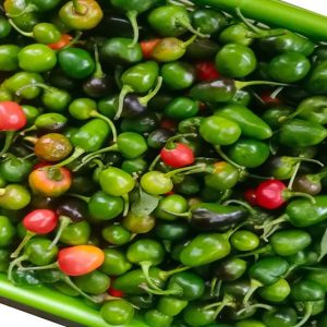 अकबरे खुर्सानीको मूल्य प्रतिकिलो एक हजार !