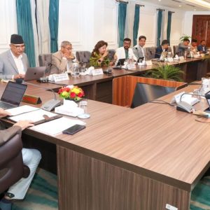 भिजिट भिसा प्रकरणमा छानबिन समिति गठन
