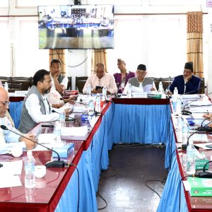 यस्ता छन् सार्वजनिक लेखा समितिका निर्णय