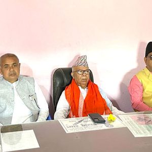 माधव नेपाल भन्छन्: पतञ्जलीमा मैले बेठिक काम गरेको छैन