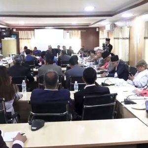 नागरिकता विधेयकमाथिको छलफल: राज्यले चिन्ने नागरिकता दिन एनआरएनएको माग