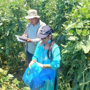 पाँचखालका तरकारी सुरक्षित र खानयोग्य रहेको प्रमाणित