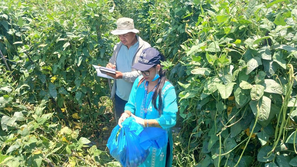 पाँचखालका तरकारी सुरक्षित र खानयोग्य रहेको प्रमाणित
