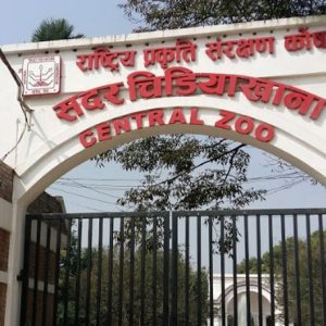 चिडियाखानामा सन्ध्याकालीन सेवा सुरु भएपछि बढे पर्यटक