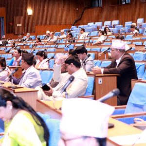 बजेट विनियोजनमा विभेद भएको सांसदको गुनासो