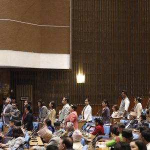 रास्वपा र राप्रपाद्वारा संसद्मा नाराबाजी