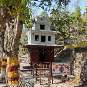 ‘जहाँ मध्यरातमा चिच्याएर वर मागिन्छ’