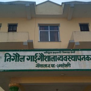 दरभङ्गा महाराजको नासो लथालिङ्ग बन्दै