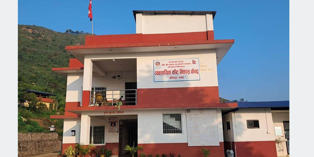कार्यक्षेत्र ११ जिल्ला, कर्मचारी पाँच !