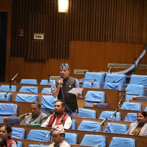आज पनि कुरा राखेर बाहिरिए राप्रपा र रास्वपा सांसद