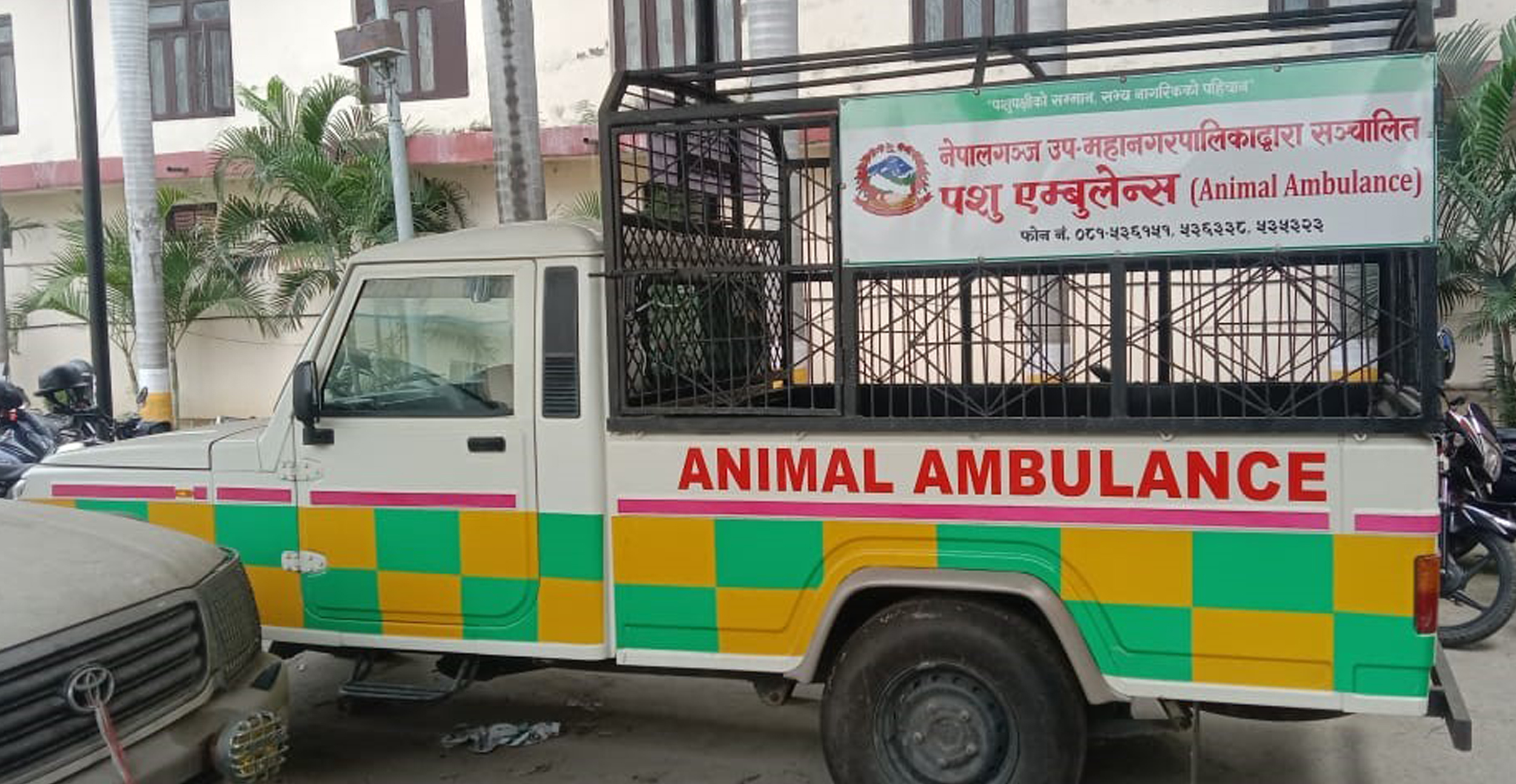 घाइते र अशक्त जनावरलाई तुरुन्त सहायता: नेपालगञ्जमा एम्बुलेन्स सेवा सुरु