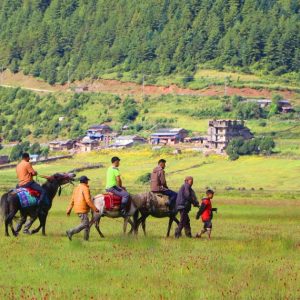 ढोरपाटनमा पर्यटक बढेपछि घोडा व्यवसाय फस्टाउँदै