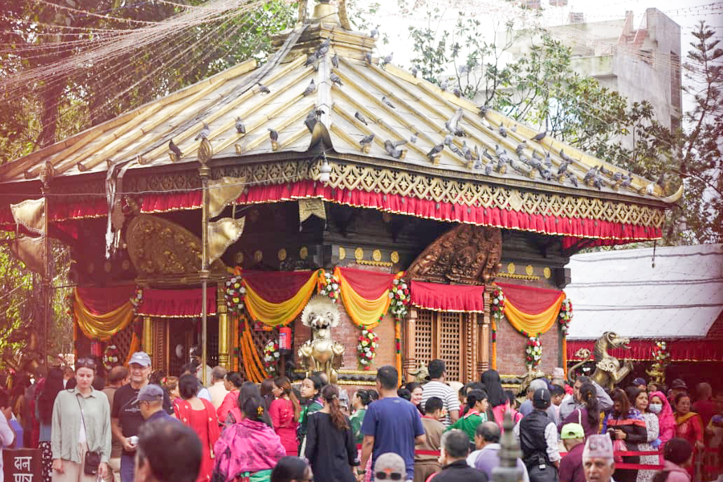 नवरात्रको दोस्रो दिन ब्रह्मचारिणी देवीको पूजा आराधना गरिँदै
