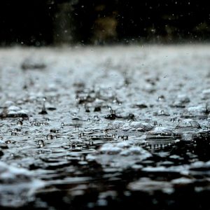 मनसुन सक्रिय : विभिन्न प्रदेशमा मध्यमदेखि भारी वर्षाको सम्भावना