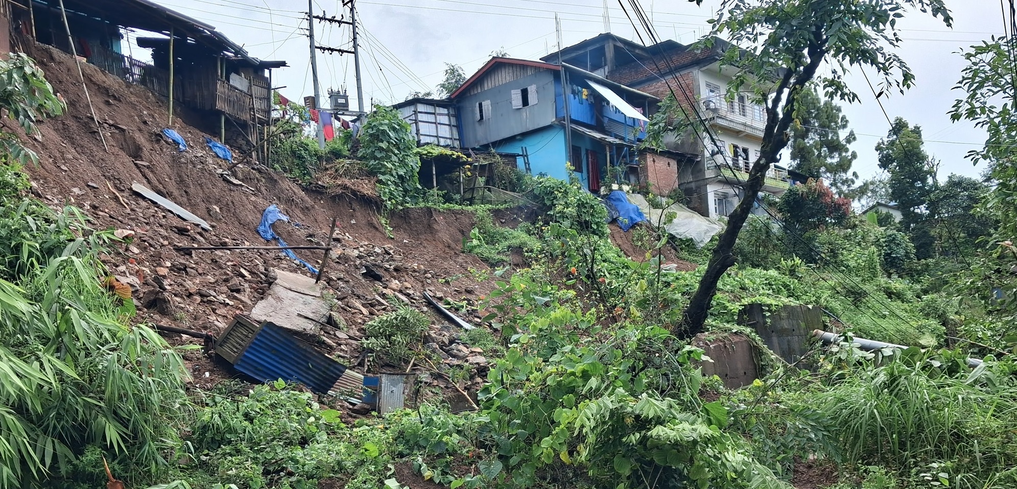 विपद संकटग्रस्त इलामलाई आर्थिक सहयोग गर्न अपिल