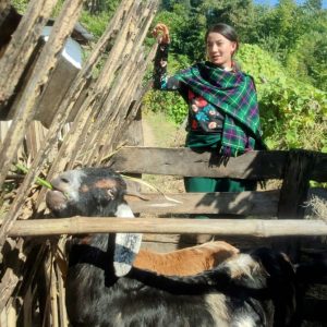 बालप्रेमको कथामा कागजको फूल