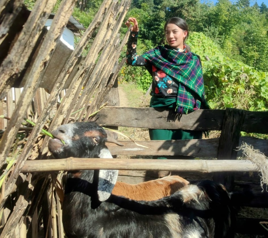 बालप्रेमको कथामा कागजको फूल