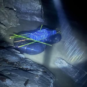 कोशीका चार जिल्लाबाट प्रतिबन्धित लागू औषधसहित सात जना पक्राउ