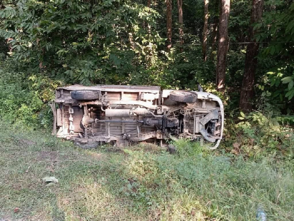 बारामा हात्तीको आक्रमण : ट्रक चालकको घटनास्थलमै मृत्यु