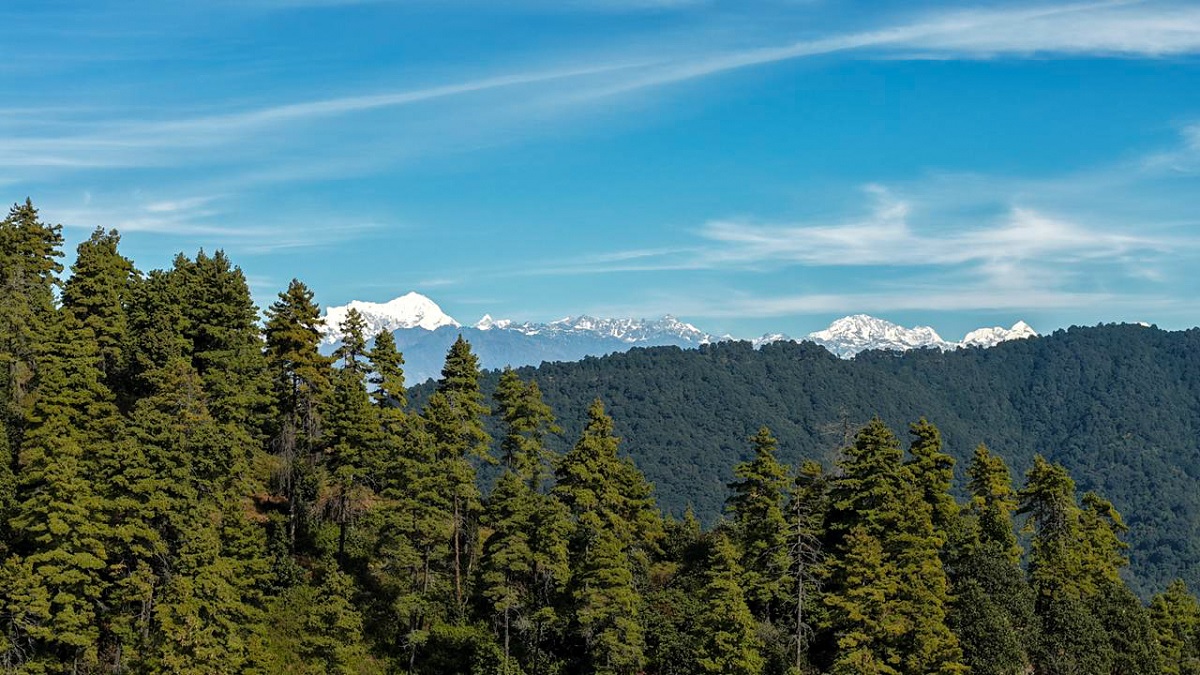 चित्लाङमा प्याराग्लाइडिङ: हरियाली बीचको नयाँ रोमाञ्चक गन्तव्य