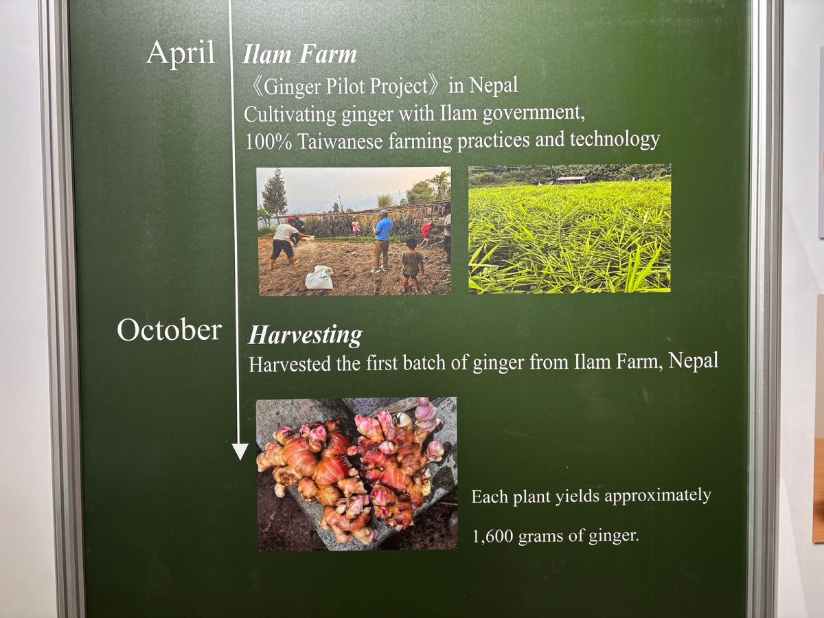 दुबईको एक्सपोमा इलामको अदुवा र अलैँचीले विश्वको ध्यान खिच्यो