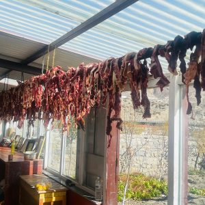 मुस्ताङमा सुरु भयो याकको सुकुटी बनाउने कार्य