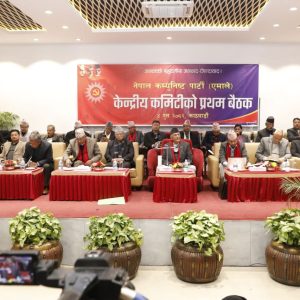 एमालेमा नेताको कार्य विभाजन जिम्मेवारी सचिवालयलाई