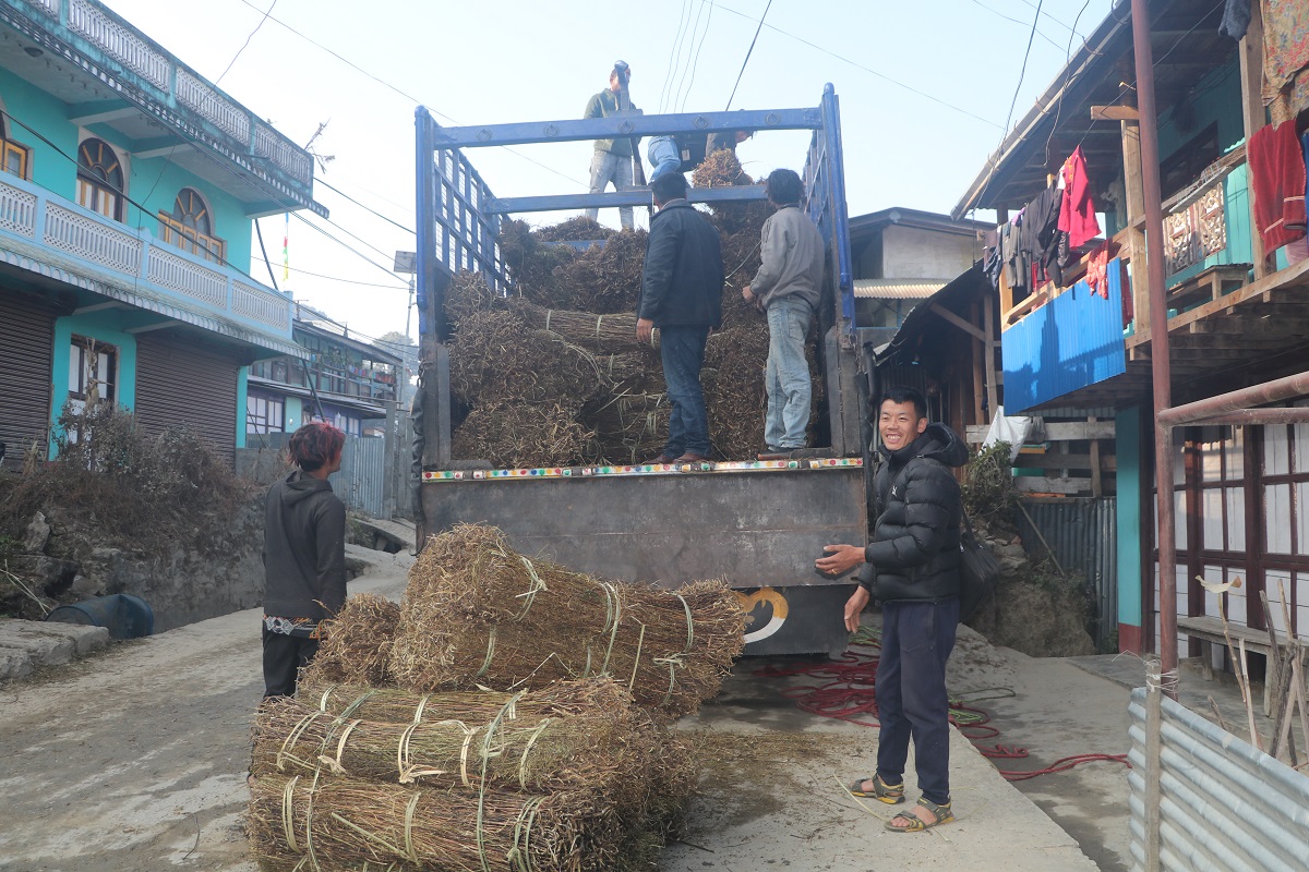 चिराइतो बिक्री नहुँदा किसान चिन्तित