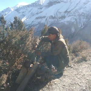 मनाङमा हिउँ चितुवा सर्वेक्षण : ङिस्याङ, नारफू र तिलिचो आसपासका क्षेत्र बासस्थान