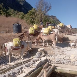 पर्यटकको आकर्षक गन्तव्य बन्दै खाँचीकोट हिल स्टेसन