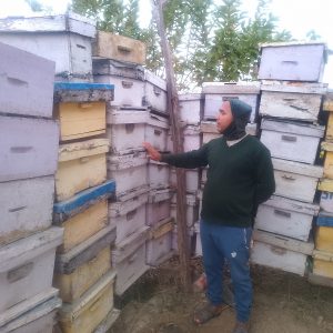 अवकाशपछिको जाँगरः मौरीपालनबाट मनग्य आम्दानी गर्दै घनश्याम