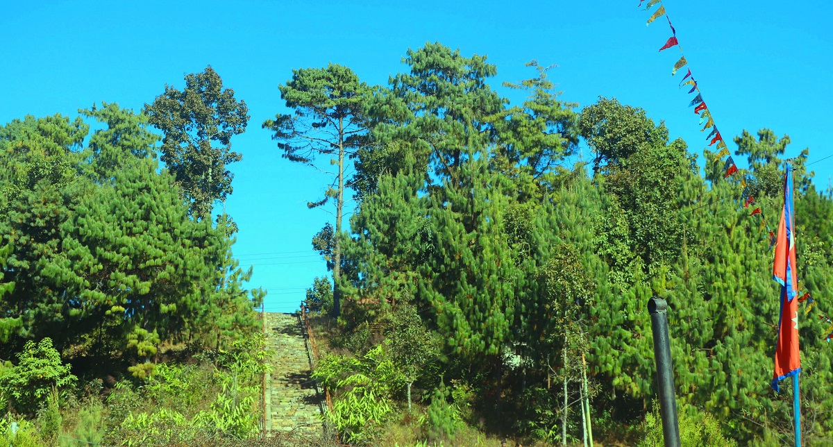 भोजपुरको काफ्ले डाँडालाई पर्यटकीय क्षेत्रका रुपमा विकास गरिँदै