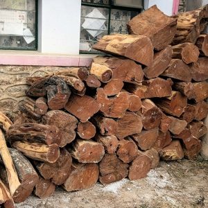 वन कार्यालयद्वारा काठ बरामद