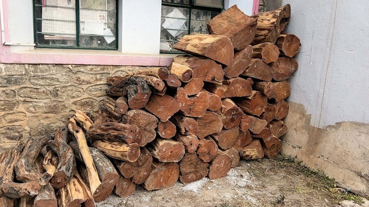 वन कार्यालयद्वारा काठ बरामद