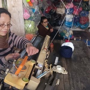 आधुनिकताबीच पनि जीवित परम्परा : भोजपुरमा ४ दशकदेखि ऊनी कपडा बुन्दै दिदीबहिनी